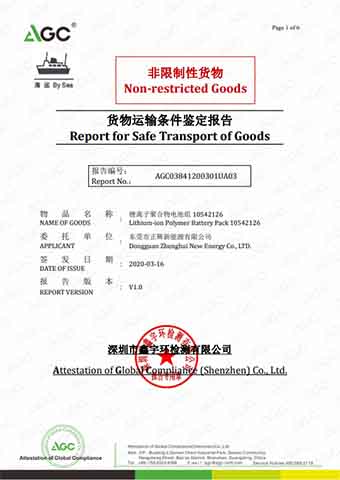 Report for Safe Transport Goods